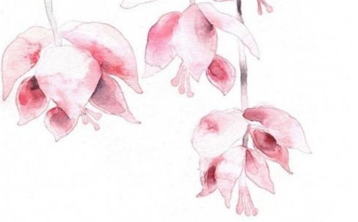 今天万年历2026年04月06日旅行的好日子,出行吉日