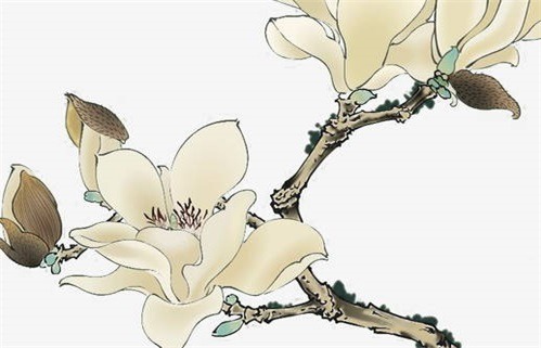 2028年01月13日老黄历适合外出吗