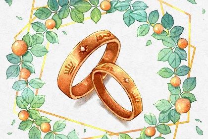 晚年之命是什么意思_晚年之命是什么意思啊