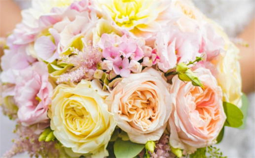 2006年是什么年什么命详解与命理分析