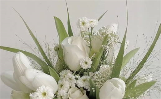 2019年属什么命年解析及运势详解