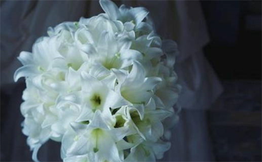 月份出生命运解析揭秘人生轨迹及性格特点