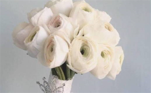 1979年属羊的人什么命(1979年属羊的人什么命什么星座)