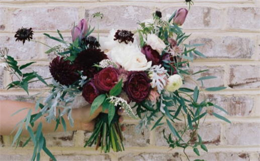 2018年属狗人的命运解析与运势趋势