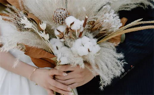 断眉毛的人是什么命(断眉毛的人是什么命运)