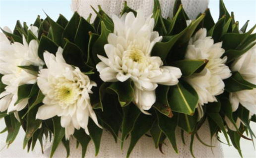 脚趾头能看出什么命(脚趾头可以看出什么命)