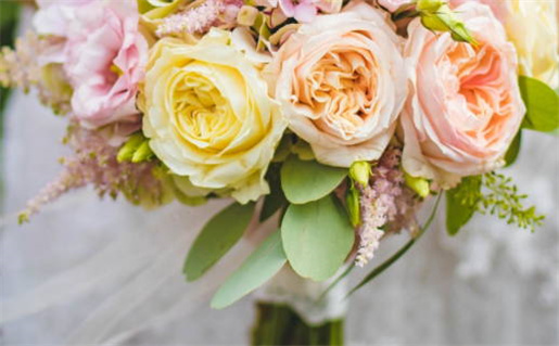 半命人特征解析哪些人容易被称为半命人