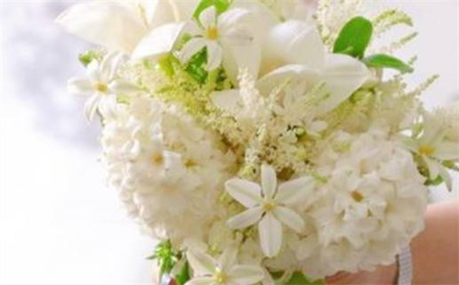 射手座能养比熊小狗吗(射手座能养比熊小狗吗女生)