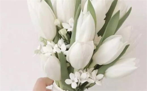 属猪水命客厅挂什么画(属猪水命客厅挂什么画旺财)