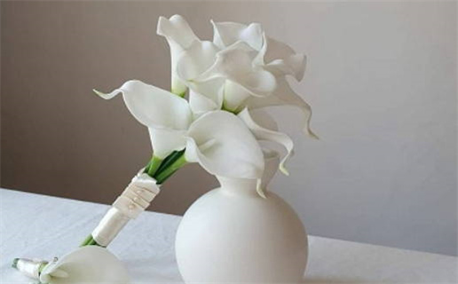 属虎五月出生是什么命