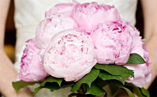 四月份黄道吉日查询与建议指南