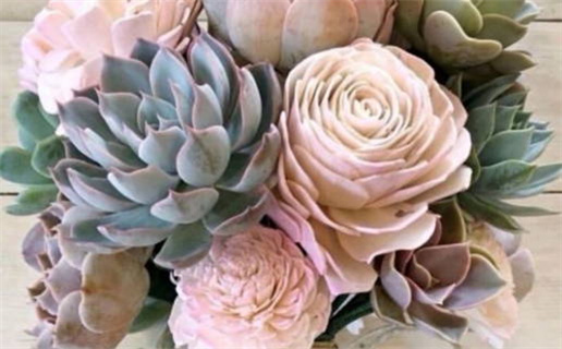 96年老鼠命运解析与性格特点详解