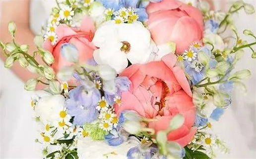 2018的狗是什么命(2018的狗是什么命 五行属什么)