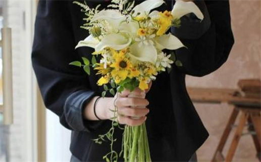 属鼠的怕哪个属相(属鼠的怕哪个属相的人)