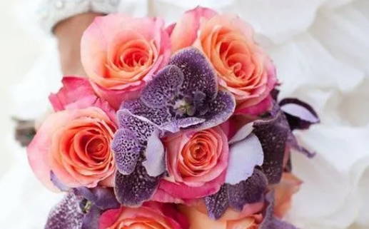 命带将军剑的深层含义与人生启示