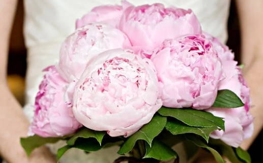 56年猴的命运解析与人生建议