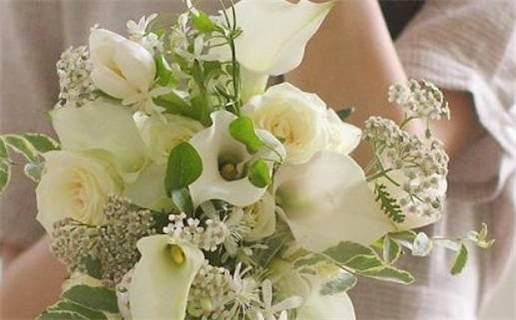 69年的鸡是什么命_69年的鸡是什么命,五行属性