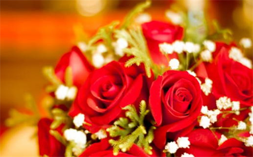 63年属兔命理解析与运势特点