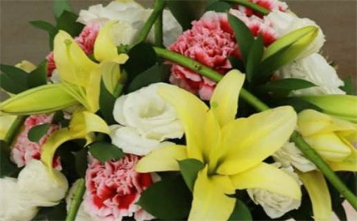 2013年五行属什么命(2013年蛇五行属什么命)