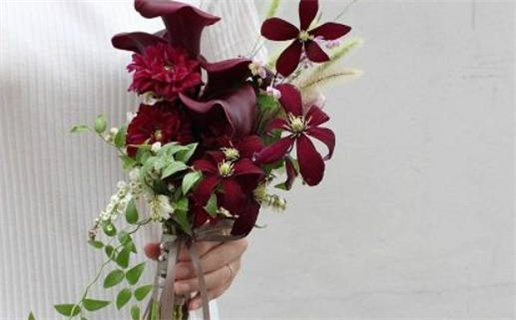 属鸡的五行是什么命(属鸡的五行是什么命)