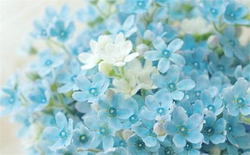 88年出生的是什么命_1988年出生的是什么命