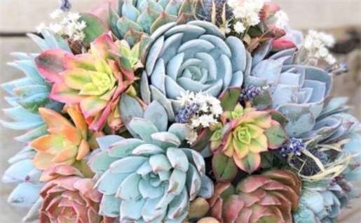 52岁属蛇是什么命_52岁属蛇是什么命格