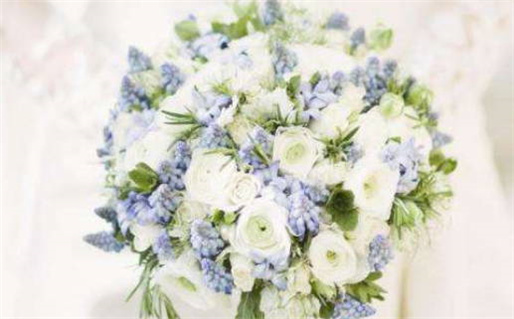 八字命硬的含义与影响解析