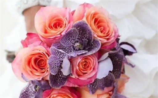 1972年属什么命详解及其性格特点分析