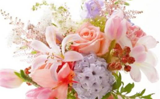 是命也是运的深刻解析与人生启示