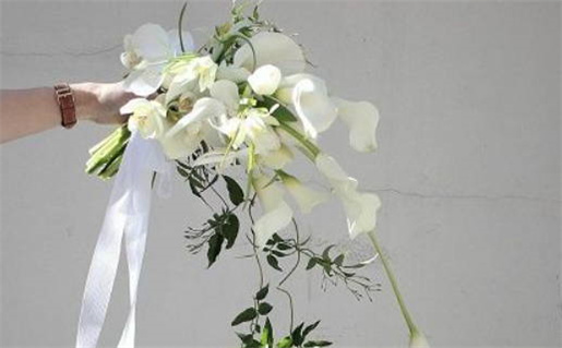 1984年属鼠人的命运解析与性格特点揭秘