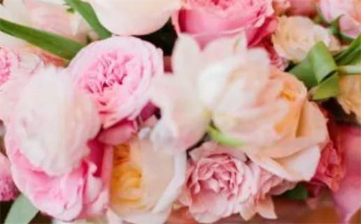 女大林木命最佳配命解析与搭配建议