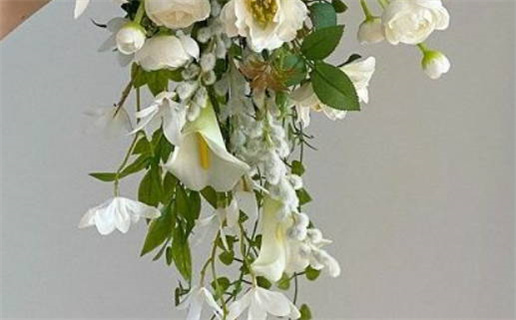 96年属鼠男农历运气_96年属鼠男农历运气如何