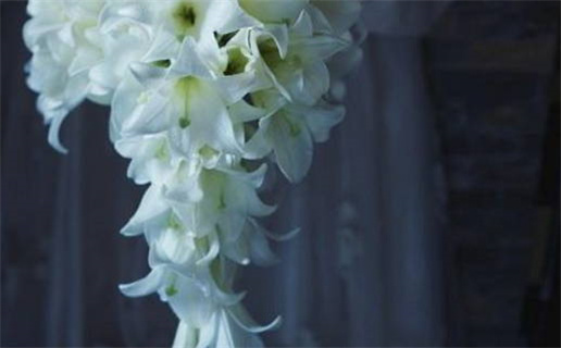 属马男属鼠女婚后怎样相处(属马男属鼠女婚后怎样相处呢)