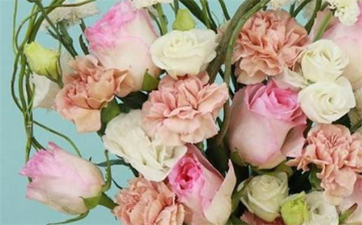 77年属蛇女命运解析与性格特征