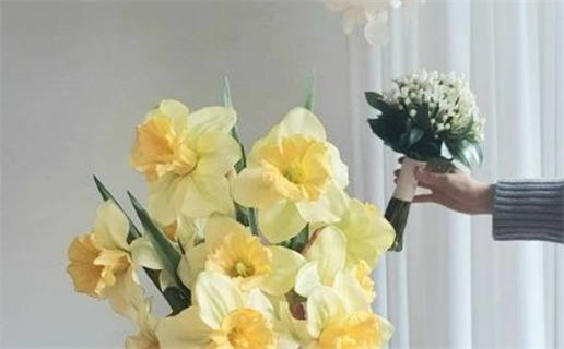 属猴属鼠的婚姻生什么宝宝_属猴属鼠的婚姻生什么宝宝好