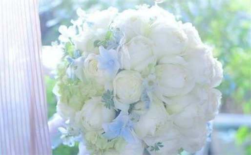 腊月羊女命硬什么意思(腊月羊女是什么命)