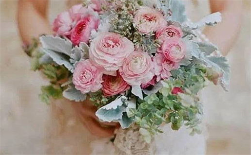 木命开什么颜色的车好_木命开什么颜色车最好