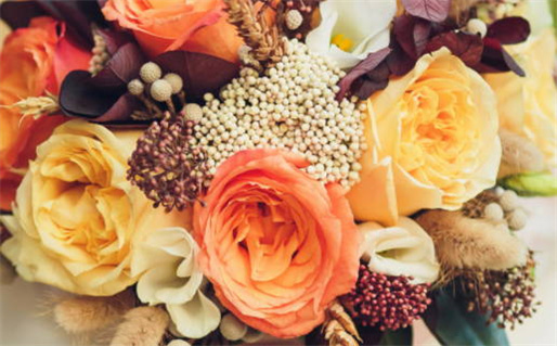 50年属虎的是什么命(1950年属虎的是什么命)