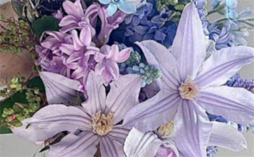 生辰八字怎么看什么命(生辰八字怎么看什么命格)