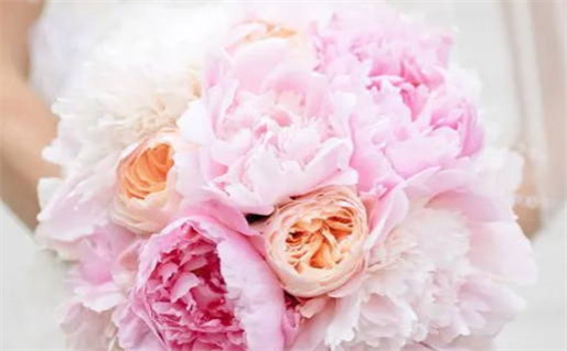 5月份开业黄道吉日(5月份开业黄道吉日查询)