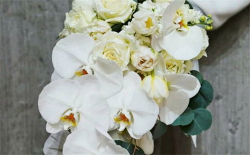 2007年出生的人是什么命解析与性格特点