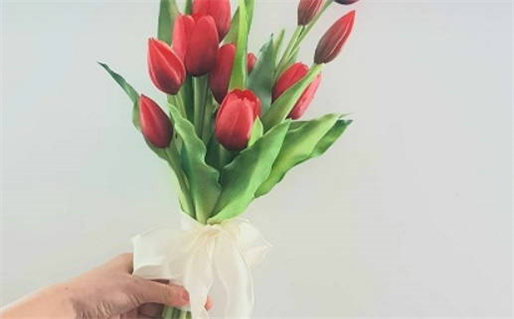 2017属于什么命_2017属于什么命的鸡