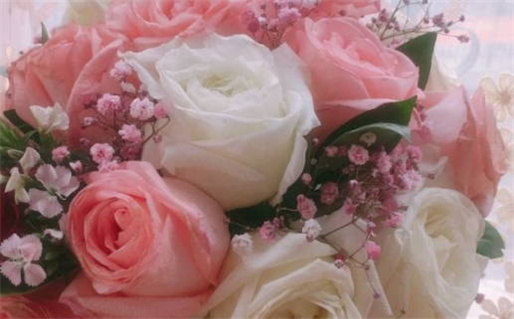 属鼠的女人最怕谁_属鼠的女人最怕谁啊