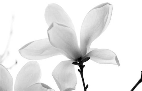 今日万年历2029年09月30日破土吉日,动土好日子查询