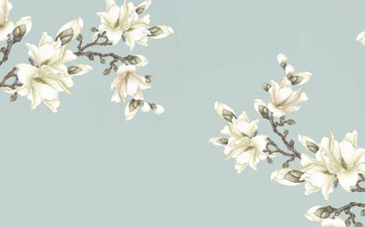 2027年8月16日动土宜忌解析：适合与不适合的全面指南