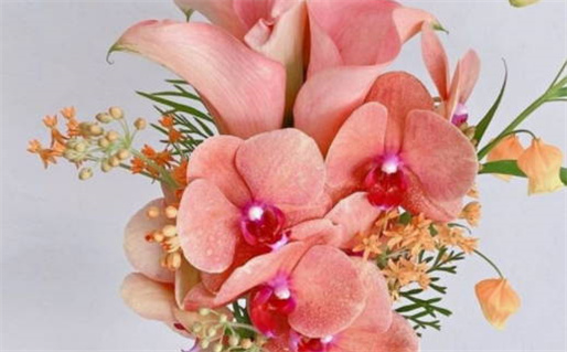 2028年11月15日结婚黄历查询