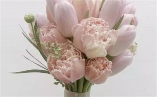 今天万年历2029年02月12日办证吉日,领证好日子查询