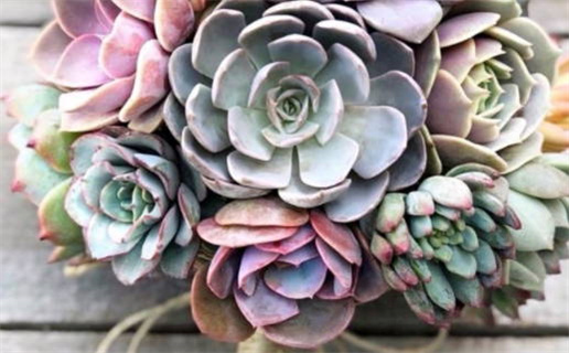 今天2029年04月16日办证老黄历不适合吗,农历二〇二九年三月初三领证日子