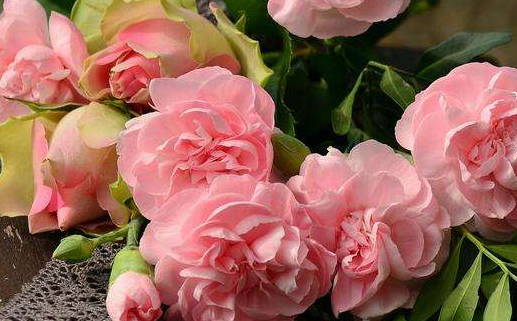 今日农历二〇三〇年八月十八黄历领取结婚证不适合吗,领证吉日