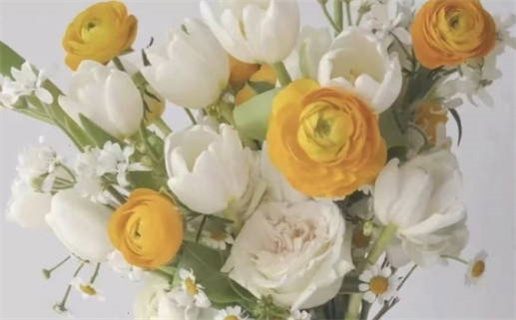 2028年2月19日领证指南：当天忌与宜的详细解读